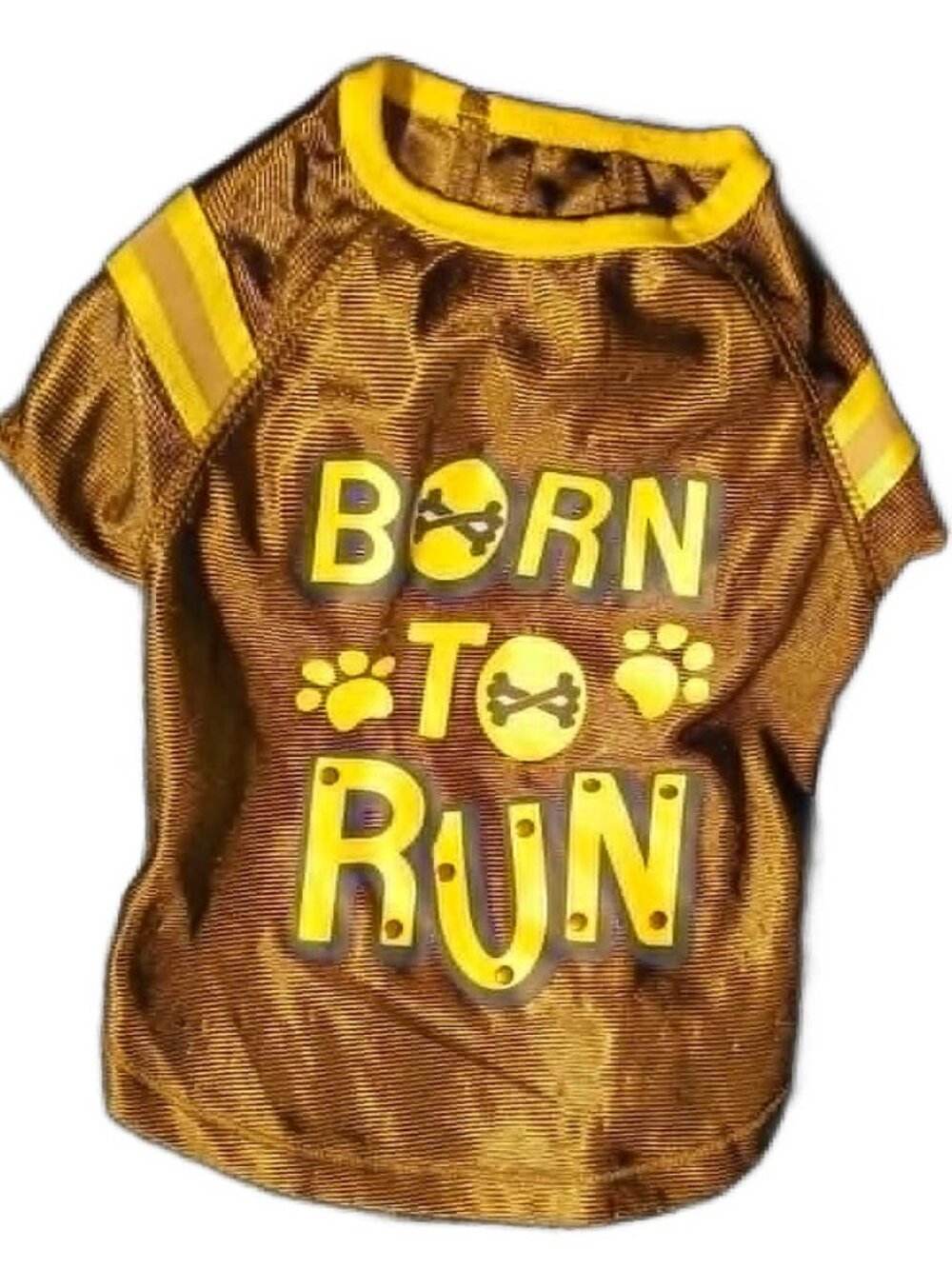 a born to run dog tee shirt